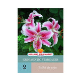 Hectarul - Bulbi de crin oriental Stargazer, 2 bulbi